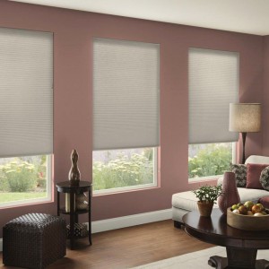 38-DOUBLE-CELL-LIGHT-FILTERING-HONEYCOMB-SHADE-2