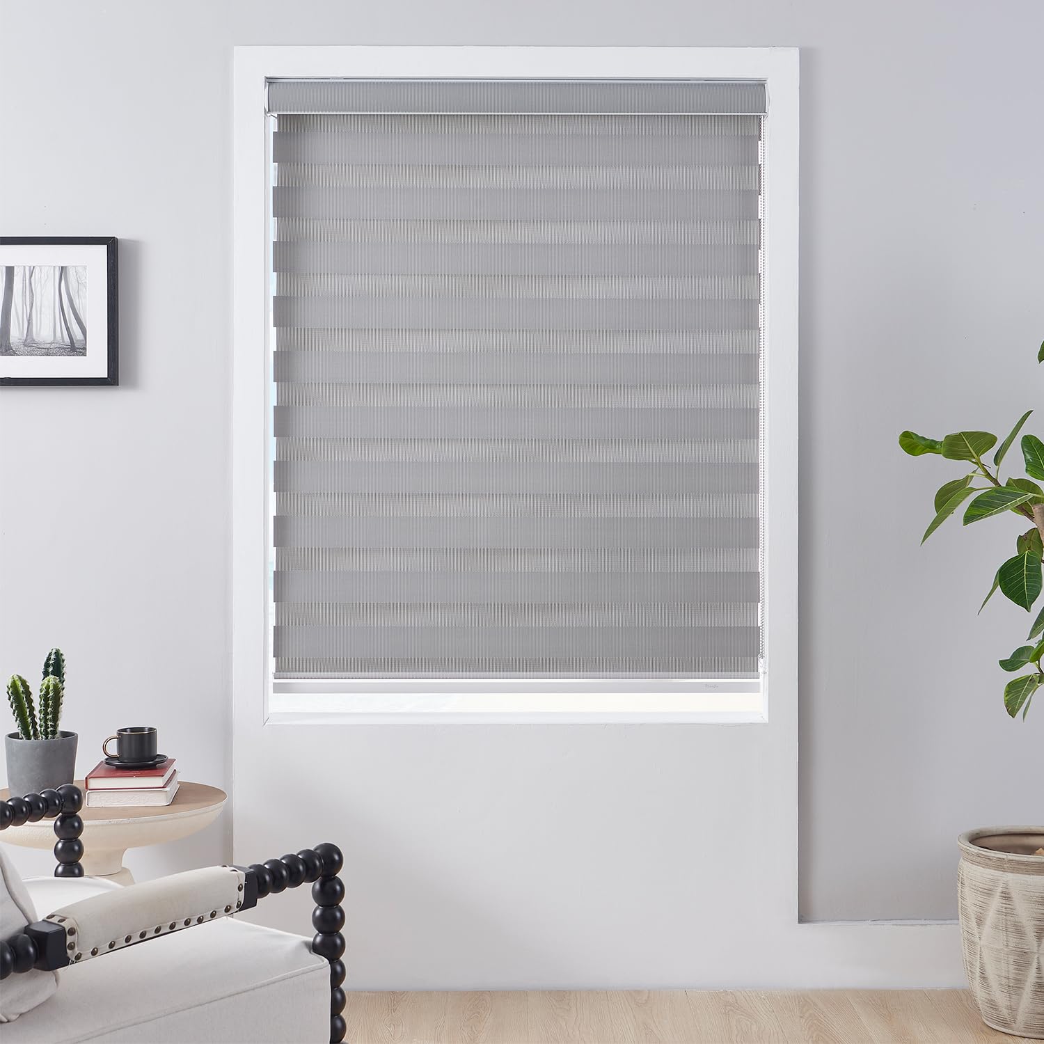 Blackout-Day-and-Night-Dual-Zebra-Blinds